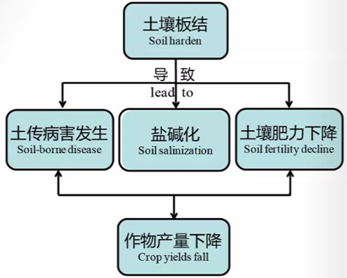 土壤现状及解决方案