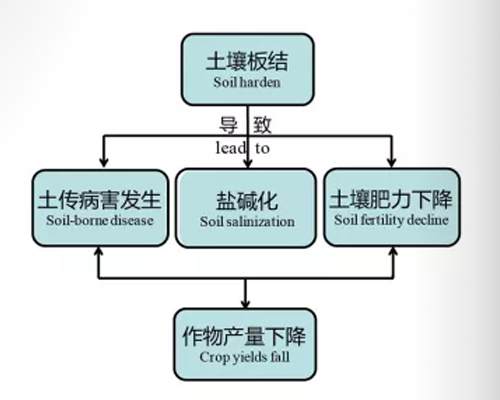 土壤现状及解决方案